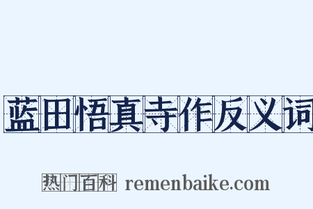 蓝田悟真寺作反义词是什么意思的图片